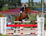 TOSCANO Skywalker GioCav2013 S5 4616 : Horses, Skywalker, TOSCANO LORENZO, ph Stefano Secchi ©