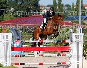 TOSCANO Skywalker GioCav2013 S5 4617 : Horses, Skywalker, TOSCANO LORENZO, ph Stefano Secchi ©