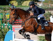 TOSCANO Skywalker GioCav2013 S5 4619 : Horses, Skywalker, TOSCANO LORENZO, ph Stefano Secchi ©