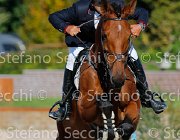 TOSCANO Skywalker GioCav2013 S5 4622 : Horses, Skywalker, TOSCANO LORENZO, ph Stefano Secchi ©