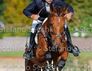 TOSCANO Skywalker GioCav2013 S5 4623 : Horses, Skywalker, TOSCANO LORENZO, ph Stefano Secchi ©