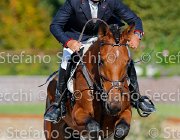 TOSCANO Skywalker GioCav2013 S5 4624 : Horses, Skywalker, TOSCANO LORENZO, ph Stefano Secchi ©