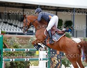 Zuvadelli Bombay GioCav2013 S5 2656 : Bombay, Campionati Italiani Giovani Cavalli, Cattolica, Zuvadelli Paolo, ph Stefano Secchi ©