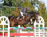 Zuvadelli Cruise GioCav2013 S6 7728 : Campionati Italiani Giovani Cavalli, Cattolica, Cruise aremac, Zuvadelli Paolo, ph Stefano Secchi ©