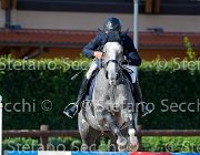 545 GioCav2013 S5 4603 : 545, Campionati Italiani Giovani Cavalli, Cattolica, ph Stefano Secchi ©