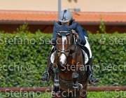 Abbate Eliodora GioCav2013 S5 4110 : Abbate Sara, Campionati Italiani Giovani Cavalli, Cattolica, Eliodora, ph Stefano Secchi ©