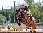 Addis Quintago GioCav2013 S5 3110 : Addis Emanuele, Campionati Italiani Giovani Cavalli, Cattolica, Quintago della Verdina, ph Stefano Secchi ©