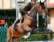 Addis Unica GioCav2013 S5 4471 : Addis Emanuele, Campionati Italiani Giovani Cavalli, Cattolica, Unica, ph Stefano Secchi ©