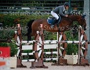 Andrisano carlotta GioCav2013 S5 0949 : Andrisano Antonello, Campionati Italiani Giovani Cavalli, Cattolica, carlotta, ph Stefano Secchi ©