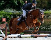 Angerame Elhita GioCav2013 S5 1244 : Angerame Filippo, Campionati Italiani Giovani Cavalli, Cattolica, Elhita, ph Stefano Secchi ©