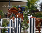 Apolloni Sorbonne GioCav2013 S5 2320 : Apolloni Gianluca, Campionati Italiani Giovani Cavalli, Cattolica, Sorbonne, ph Stefano Secchi ©