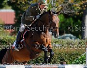 Barbacini Tantobella GioCav2013 S5 1384 : Barbacini Max Andre, Campionati Italiani Giovani Cavalli, Cattolica, Tantobella, ph Stefano Secchi ©