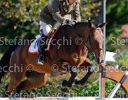 Barbacini Tantobella GioCav2013 S5 1386 : Barbacini Max Andre, Campionati Italiani Giovani Cavalli, Cattolica, Tantobella, ph Stefano Secchi ©