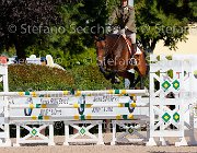Barbacini Tantobella GioCav2013 S5 1388 : Barbacini Max Andre, Campionati Italiani Giovani Cavalli, Cattolica, Tantobella, ph Stefano Secchi ©