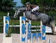 Barbarossa Arieccola GioCav2013 S5 3728 : Arieccola, Barbarossa Mirko, Campionati Italiani Giovani Cavalli, Cattolica, ph Stefano Secchi ©
