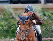 Barbarossa Ippia GioCav2013 S5 2457 : Barbarossa Mirko, Campionati Italiani Giovani Cavalli, Cattolica, Ippia, ph Stefano Secchi ©