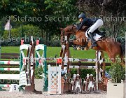 Barbieri Lyonia GioCav2013 S5 3638 : Barbieri Jessica, Campionati Italiani Giovani Cavalli, Cattolica, Lyonia del Sole, ph Stefano Secchi ©