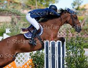 Bassan Bupina GioCav2013 S5 1707 : Bassan Filippo, Bupina, Campionati Italiani Giovani Cavalli, Cattolica, ph Stefano Secchi ©