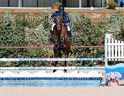 Bassan Bupina GioCav2013 S5 1709 : Bassan Filippo, Bupina, Campionati Italiani Giovani Cavalli, Cattolica, ph Stefano Secchi ©