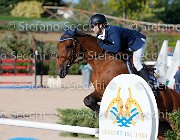 Bassan Bupina GioCav2013 S5 4640 : Bassan Filippo, Bupina, Horses, ph Stefano Secchi ©