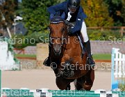 Bassan Bupina GioCav2013 S5 4646 : Bassan Filippo, Bupina, Horses, ph Stefano Secchi ©