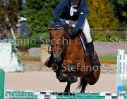 Bassan Bupina GioCav2013 S5 4647 : Bassan Filippo, Bupina, Horses, ph Stefano Secchi ©