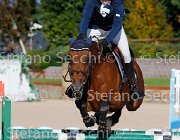 Bassan Bupina GioCav2013 S5 4648 : Bassan Filippo, Bupina, Horses, ph Stefano Secchi ©