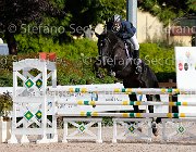 Bellacicco Kaldeide GioCav2013 S5 1153 : Bellacicco Nicola, Campionati Italiani Giovani Cavalli, Cattolica, Kaldeide, ph Stefano Secchi ©