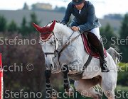Bettella Cardenat GioCav2013 S5 3140 : Bettella Gino, Campionati Italiani Giovani Cavalli, Cardenat, Cattolica, ph Stefano Secchi ©