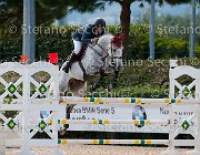 Bettella Cardenat GioCav2013 S5 3142 : Bettella Gino, Campionati Italiani Giovani Cavalli, Cardenat, Cattolica, ph Stefano Secchi ©