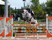 Bettella Cardenat GioCav2013 S5 3146 : Bettella Gino, Campionati Italiani Giovani Cavalli, Cardenat, Cattolica, ph Stefano Secchi ©