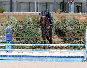 BICOCCHI Ares GioCav2013 S5 1743 : Ares, BICOCCHI Emilio, Campionati Italiani Giovani Cavalli, Cattolica, ph Stefano Secchi ©