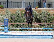 BICOCCHI Ares GioCav2013 S5 1744 : Ares, BICOCCHI Emilio, Campionati Italiani Giovani Cavalli, Cattolica, ph Stefano Secchi ©