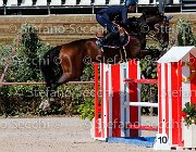 BICOCCHI Ares GioCav2013 S5 1750 : Ares, BICOCCHI Emilio, Campionati Italiani Giovani Cavalli, Cattolica, ph Stefano Secchi ©