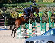 BICOCCHI Ares GioCav2013 S5 4650 : Ares, BICOCCHI Emilio, Horses, ph Stefano Secchi ©