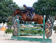 BICOCCHI Nonostante GioCav2013 S5 2808 : BICOCCHI Emilio, Campionati Italiani Giovani Cavalli, Cattolica, Nonostante del Terriccio, ph Stefano Secchi ©