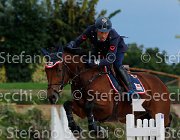 BICOCCHI Nonostante GioCav2013 S5 2810 : BICOCCHI Emilio, Campionati Italiani Giovani Cavalli, Cattolica, Nonostante del Terriccio, ph Stefano Secchi ©