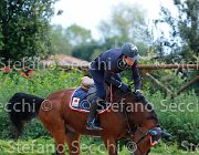 BICOCCHI Nonostante GioCav2013 S5 2816 : BICOCCHI Emilio, Campionati Italiani Giovani Cavalli, Cattolica, Nonostante del Terriccio, ph Stefano Secchi ©