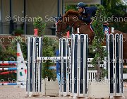 BICOCCHI Nuvola GioCav2013 S5 2277 : BICOCCHI Emilio, Campionati Italiani Giovani Cavalli, Cattolica, Nuvola del Terriccio, ph Stefano Secchi ©