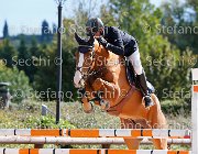 Bisi Parsimonioso GioCav2013 S5 3164 : Bisi Morgan, Campionati Italiani Giovani Cavalli, Cattolica, Parsimonioso, ph Stefano Secchi ©