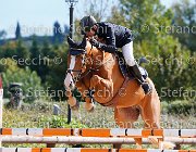 Bisi Parsimonioso GioCav2013 S5 3165 : Bisi Morgan, Campionati Italiani Giovani Cavalli, Cattolica, Parsimonioso, ph Stefano Secchi ©