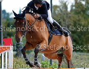 Bresciani Persival GioCav2013 S5 3289 : Bresciani Gabriele, Campionati Italiani Giovani Cavalli, Cattolica, Persival, ph Stefano Secchi ©