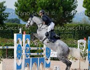 Campanelli Gamine GioCav2013 S5 3681 : Campanelli Antonio, Campionati Italiani Giovani Cavalli, Cattolica, Gamine, ph Stefano Secchi ©
