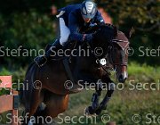Cancogni Contessa GioCav2013 S5 1578 : Campionati Italiani Giovani Cavalli, Cancogni Daniele, Cattolica, Contessa, ph Stefano Secchi ©