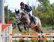Carlino Dardonge GioCav2013 S5 3190 : Campionati Italiani Giovani Cavalli, Carlino Vincenzo, Cattolica, Dardonge, ph Stefano Secchi ©