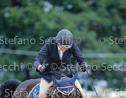 Casadei Chablis GioCav2013 S5 2694 : Campionati Italiani Giovani Cavalli, Casadei Mirco, Cattolica, Chablis, ph Stefano Secchi ©