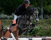 Casadei viola GioCav2013 S5 1052 : Campionati Italiani Giovani Cavalli, Casadei Mirco, Cattolica, ph Stefano Secchi ©, viola di san giovanni