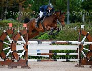 Caselli Belanda GioCav2013 S5 1096 : Belanda, Campionati Italiani Giovani Cavalli, Caselli Andrea, Cattolica, ph Stefano Secchi ©