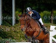 Caselli Belanda GioCav2013 S5 1099 : Belanda, Campionati Italiani Giovani Cavalli, Caselli Andrea, Cattolica, ph Stefano Secchi ©