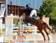 Cherubini Norma GioCav2013 S5 1225 : Campionati Italiani Giovani Cavalli, Cattolica, Cherubini Veronica, Norma, ph Stefano Secchi ©